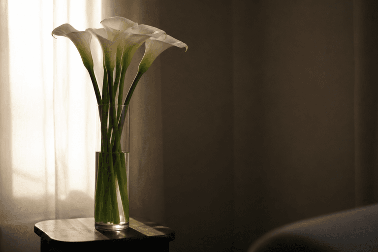 What Happens to the Body Between Death and the Funeral
