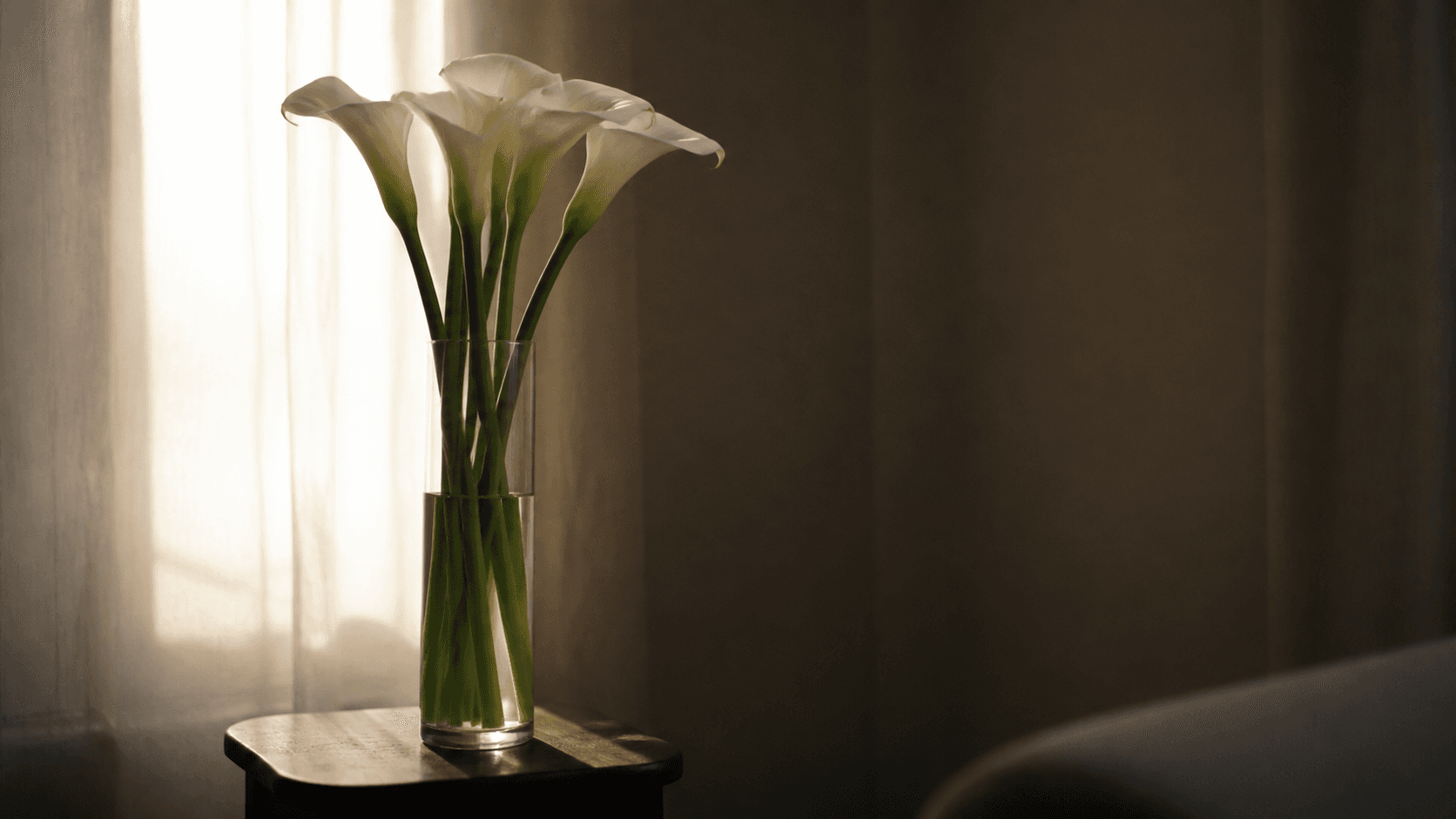 What Happens to the Body Between Death and the Funeral